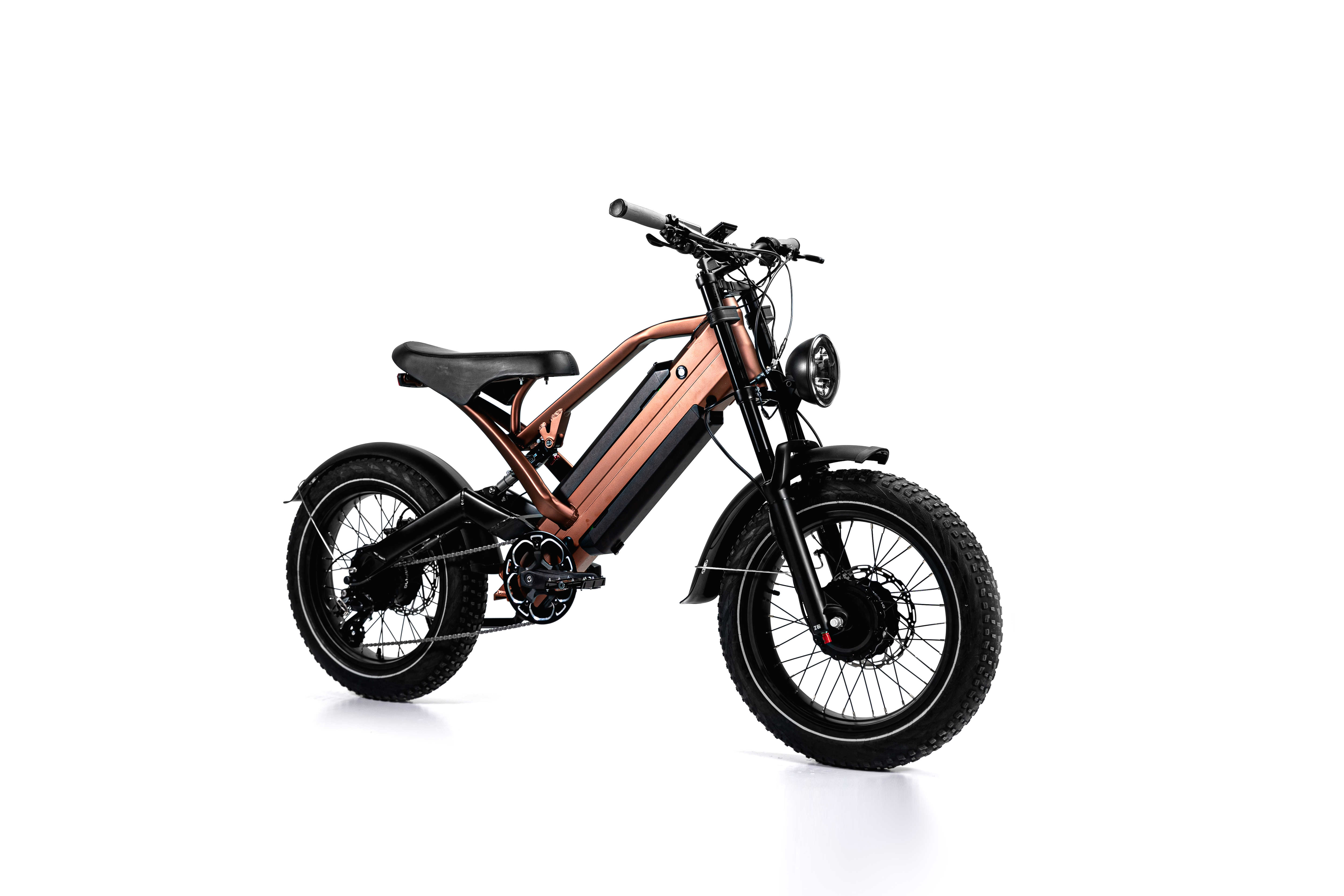 助力车式电动自行车 750w 2 电池 2 电机 Fat EBike 